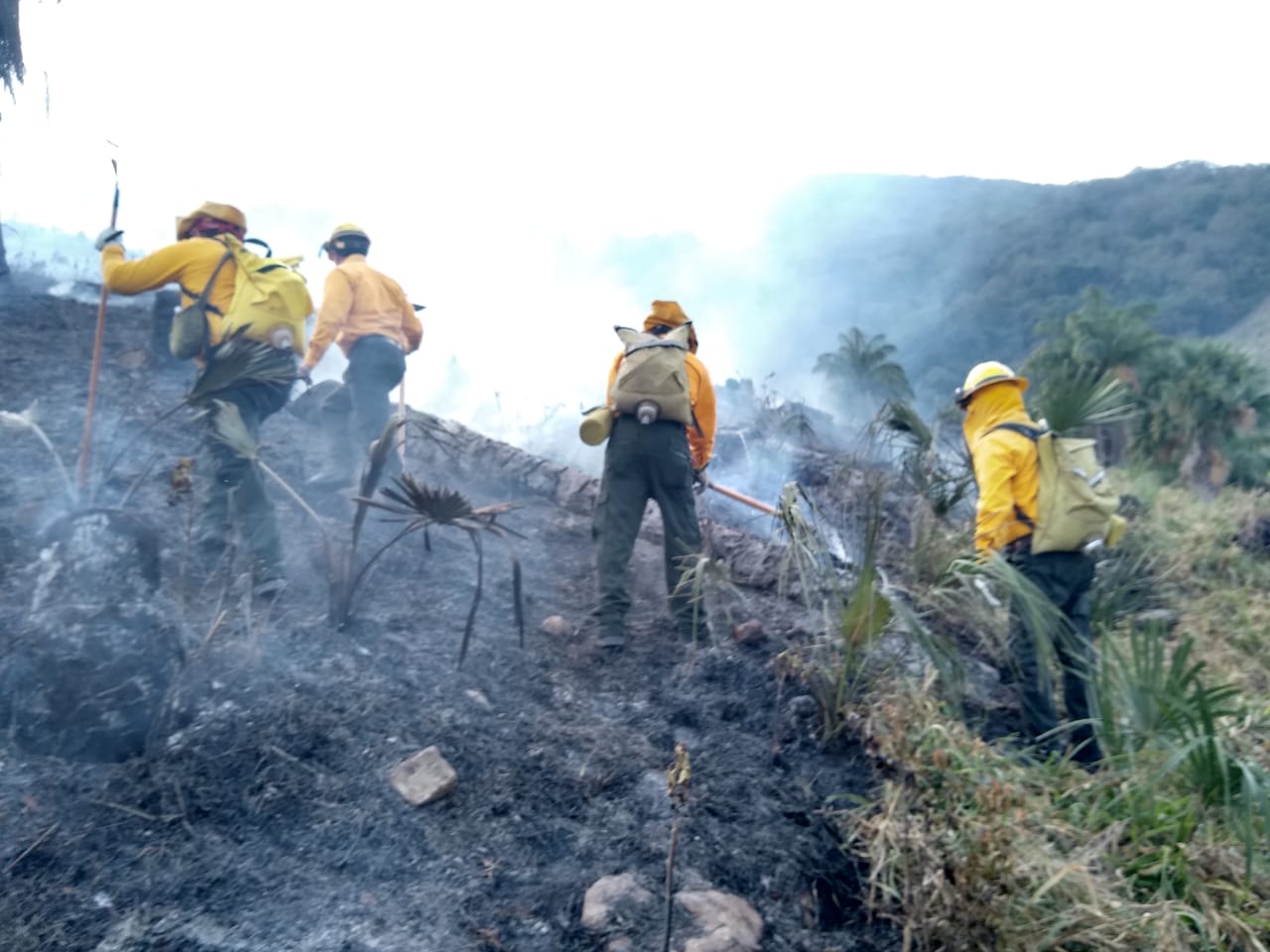  Reporta CEPC control al 70% del incendio en Villa de Guadalupe