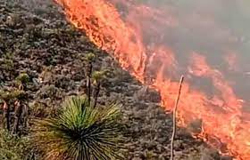  Sólo hay un incendio forestal activo en SLP