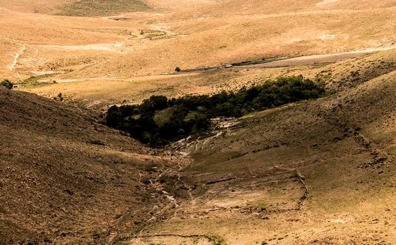  Delimitan un área urbanizable en la Sierra de San Miguelito