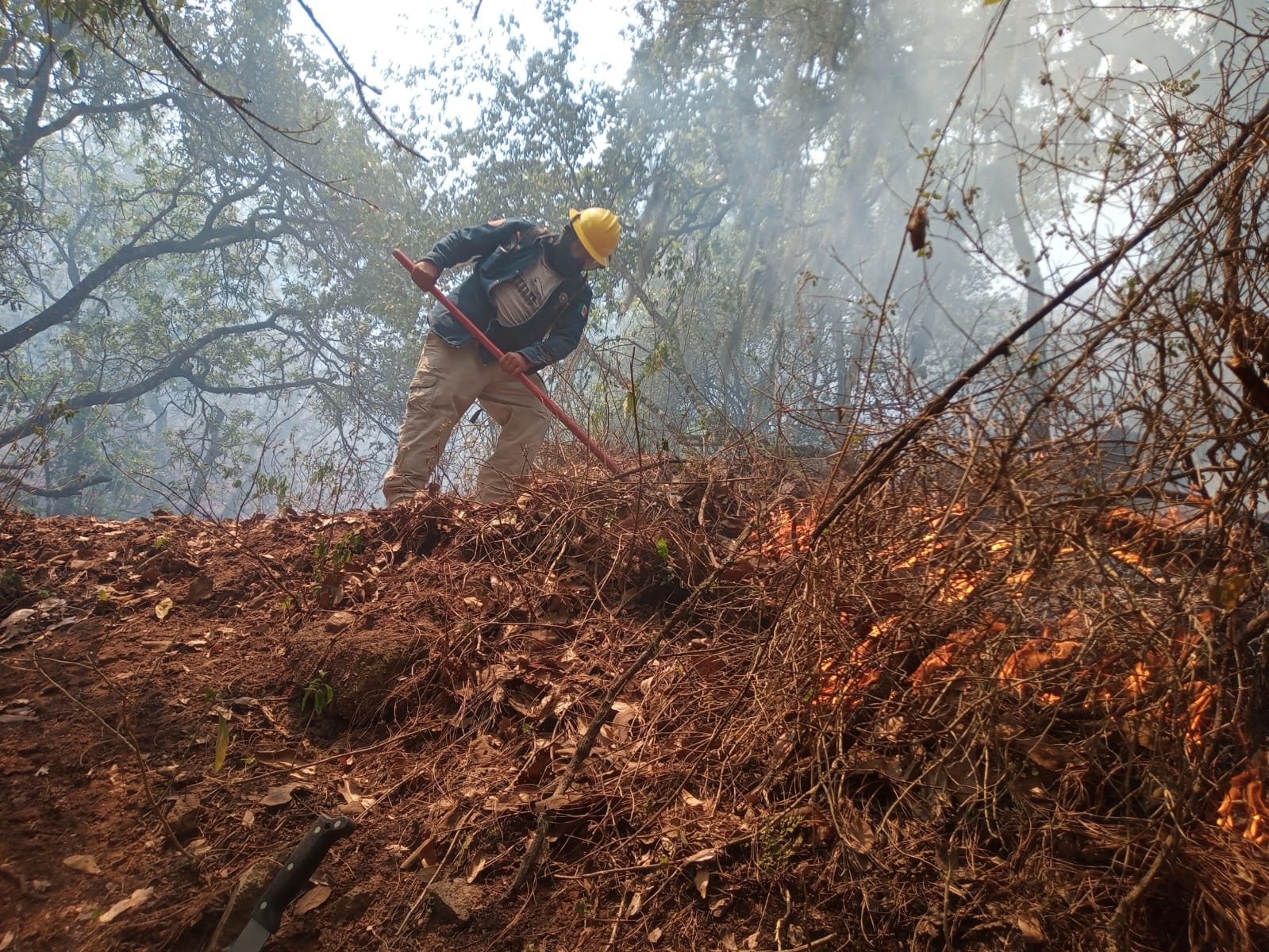  Hay cinco incendios activos en la entidad