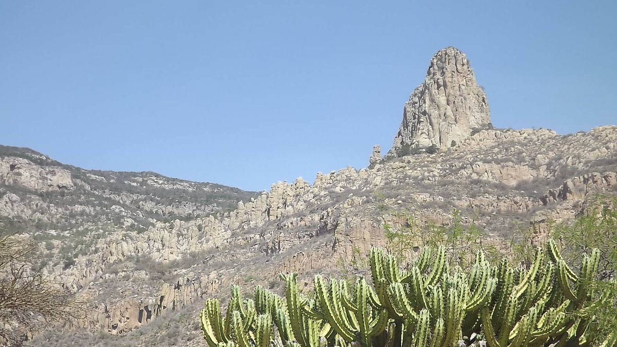  Anula Tribunal Agrario venta de tierras del Parque Nacional Gogorrón