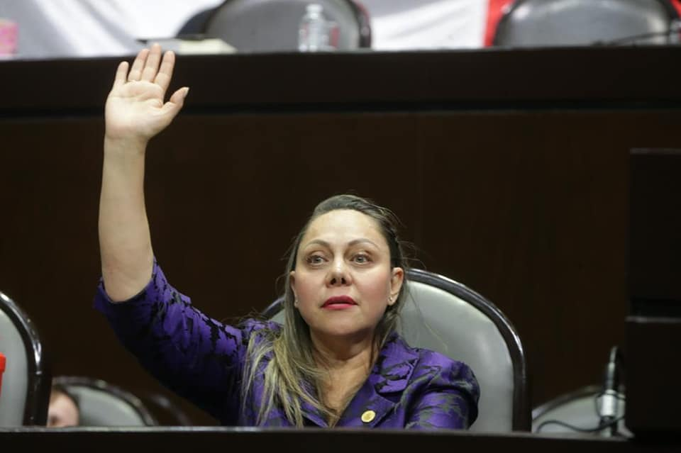  Saldo electoral para el PRI no fue bueno: Sara Rocha Medina
