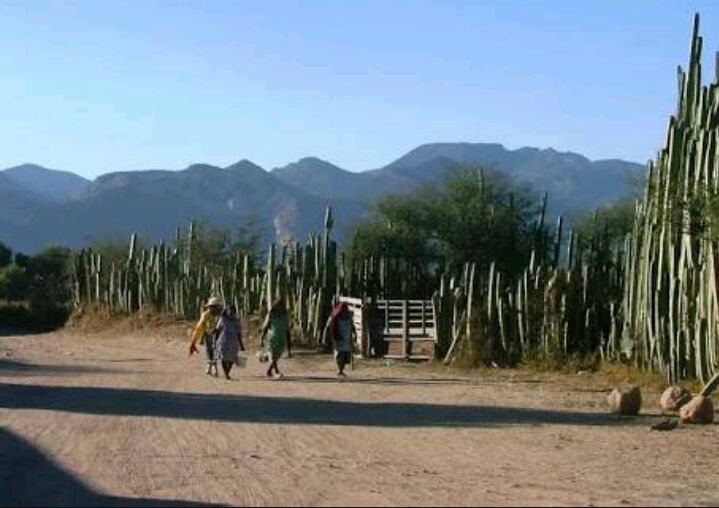  Violencia en Laguna de San Vicente exhibe incumplimiento de autoridades a recomendación de CEDH