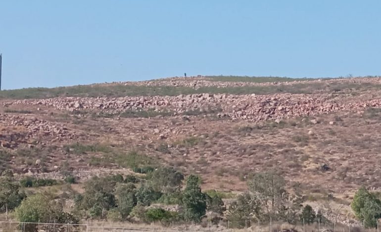 Ayuntamiento de SLP vigilará cumplimiento de ANP de la Sierra de San Miguelito