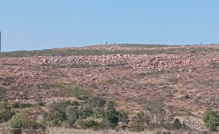  Ayuntamiento de SLP vigilará cumplimiento de ANP de la Sierra de San Miguelito