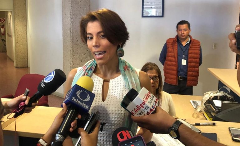  Proceso penal contra Xavier Nava no está cerrado: Teresa Carrizales