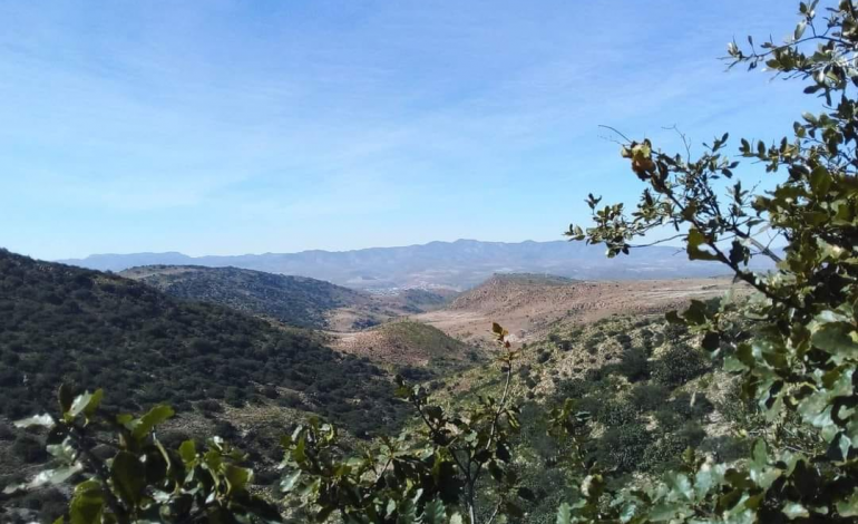  Dialoga Semarnat con núcleos agrarios de la Sierra de San Miguelito