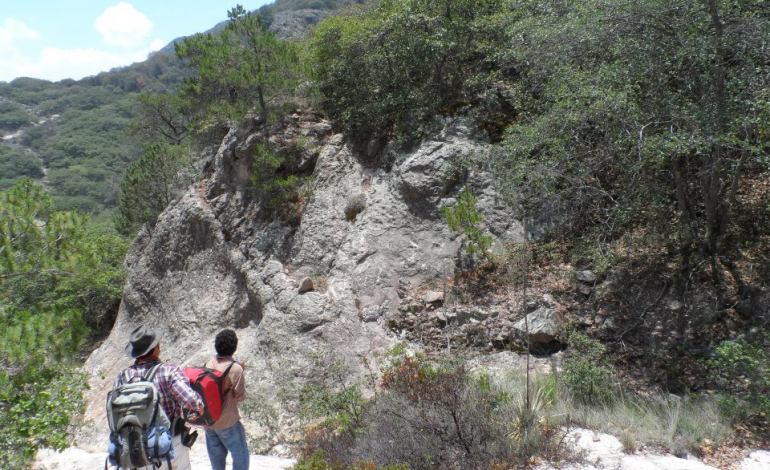  Gran potencial productivo en la Sierra de San Miguelito: Semarnat