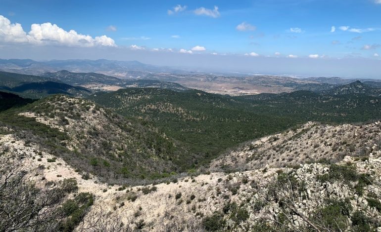  Requiere Juez a Gallardo informar proyectos para Sierra de San Miguelito