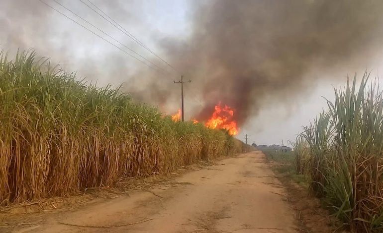  SLP registra 10 incendios activos