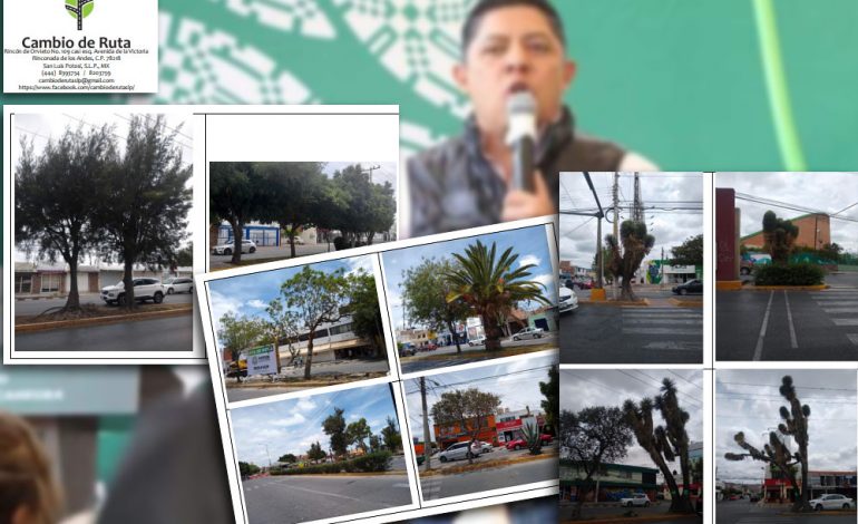  Interpone Cambio de Ruta amparo para proteger los 867 árboles de Himno Nacional