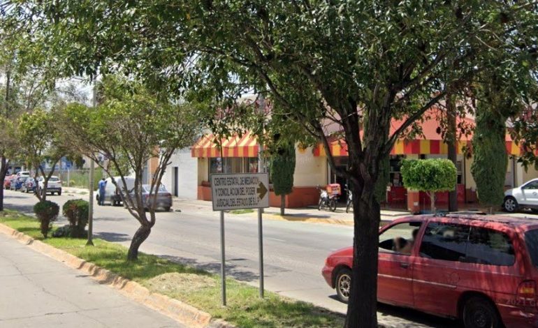  Juzgado suspende afectaciones a los árboles de avenida Himno Nacional