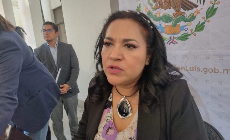  Ya es preocupante la violencia en SLP: diputada