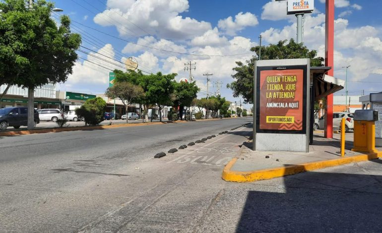  Ayuntamiento confirma retiro y reubicación de más de 800 árboles de Himno Nacional