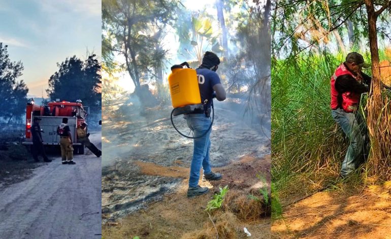  Durante 12 horas, incendio consumió varias hectáreas en la Media Luna