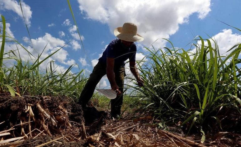  Congreso de SLP buscará fortalecer presupuesto para el campo en 2023