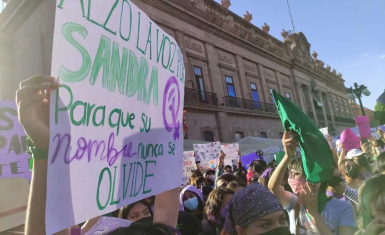  Ni castración ni pena de muerte resuelven la violencia feminicida en SLP: activista