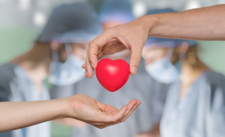  SLP registra aumento en trasplantes de órganos
