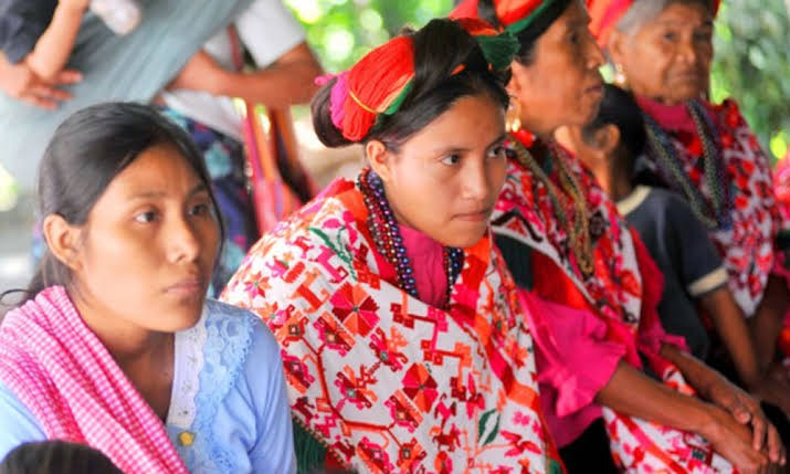  Violencia familiar y delitos sexuales, lo que más enfrentan pueblos indígenas en SLP