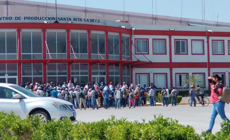  Confirma Gallardo cese del director del invernadero Santa Rita