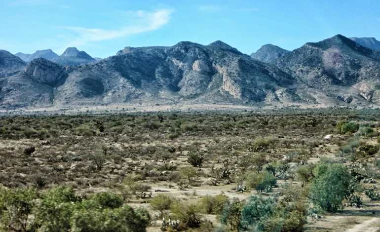  Incendio en la Sierra de San Miguelito fue provocado: Protección Civil