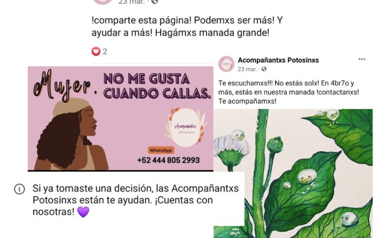  Marea Verde alerta sobre falsa red de acompañamiento para abortos seguros en SLP