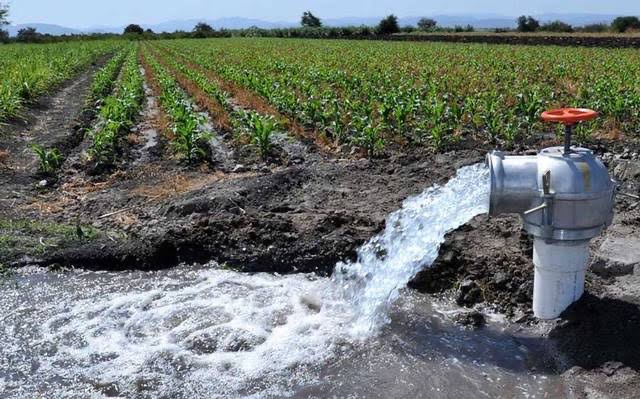  Autoridades deben prevenir la sobreexplotación del acuífero de SLP: investigadora