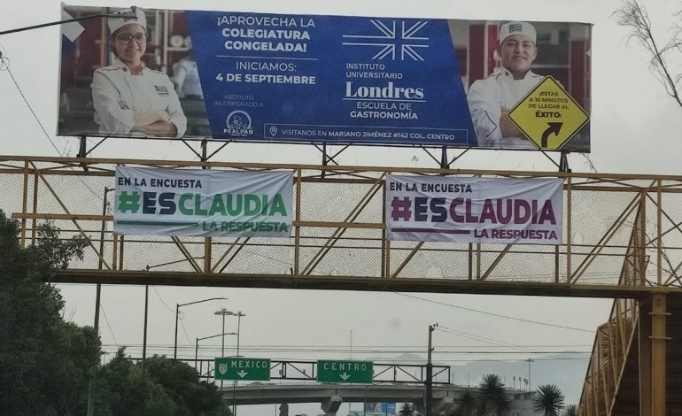  Ayuntamiento de SLP no puede regular propaganda electoral