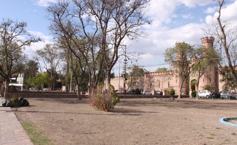  Jardín del Centro de las Artes se convirtió en zona desierta
