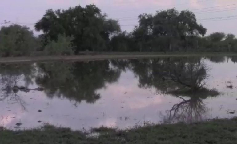  (VIDEO) Ayuntamiento no ha atendido a afectados por descargas de aguas negras en La Pila