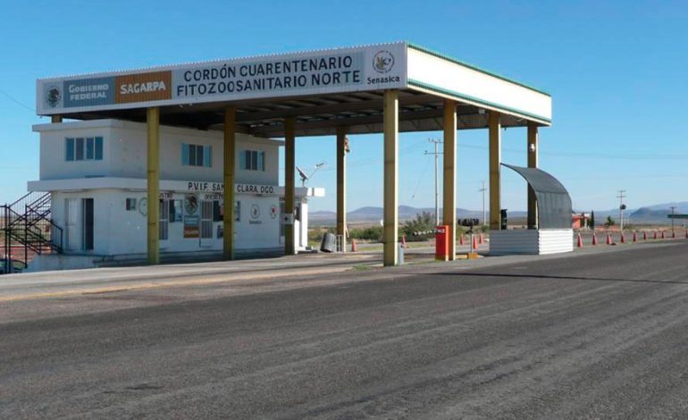  SLP, en riesgo de brote de gripe aviar; inspectores zoosanitarios entraron en paro