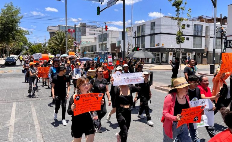  Colectivos de SLP exigen declarar a los animales como seres sintientes