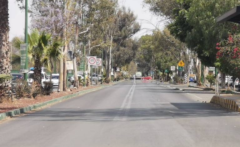  Por “golpeteo político”, vecinos de El Saucito denuncian abandono de árboles: Azuara