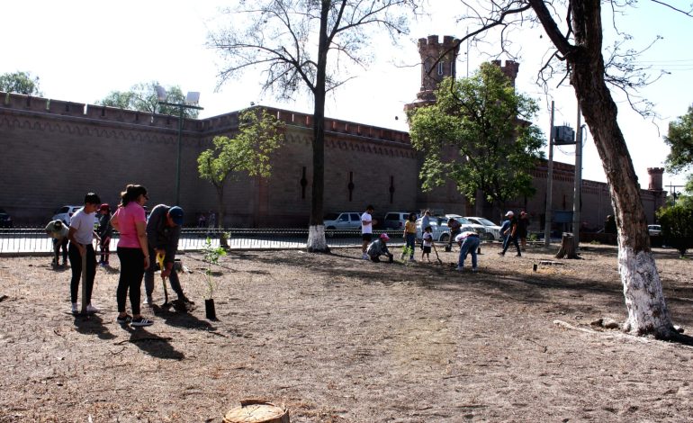  Ciudadanos se unieron para reforestar la calzada de Guadalupe