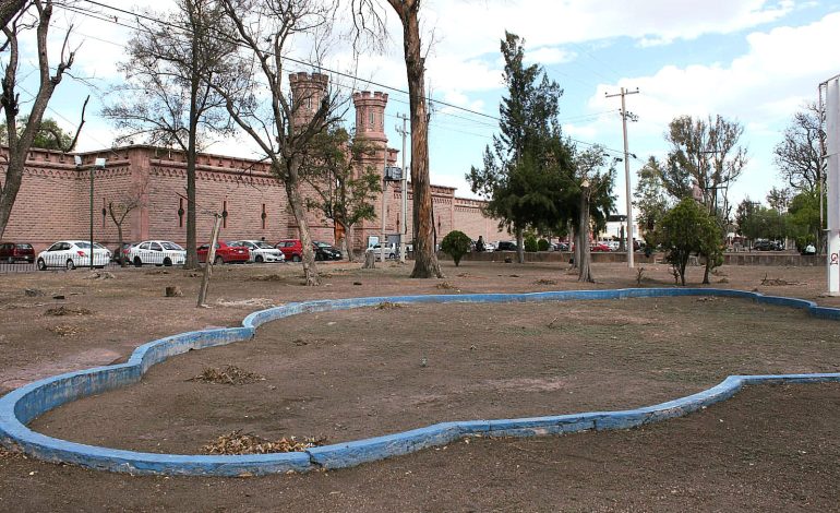  Ciudadanos organizan reforestación en el jardín del Centro de las Artes