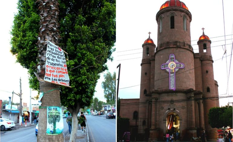  Ecocidio y daños al Templo, entre los riesgos de un paso a desnivel en El Saucito