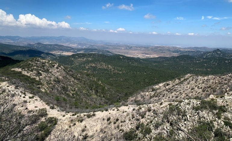  Alerta a Guardianes de la Sierra de San Miguelito “empatía” del PJF con empresarios