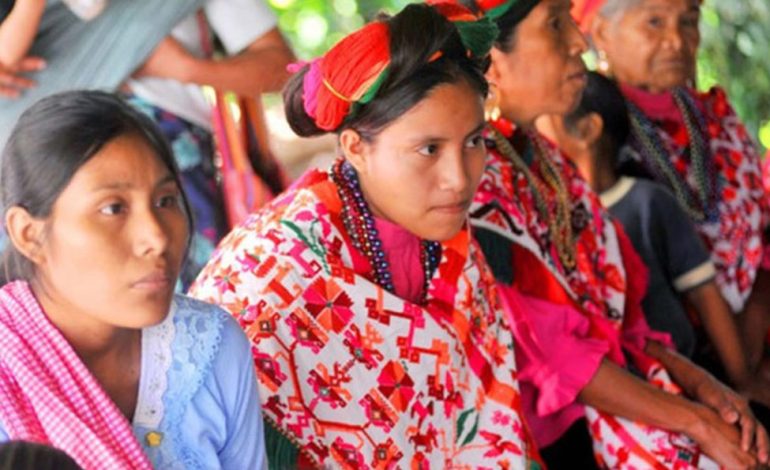  Autoridades, “oportunistas” con las comunidades indígenas en SLP: OIM