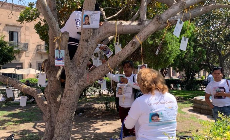  Censo de personas desaparecidas carece de organización y metodología: Voz y Dignidad