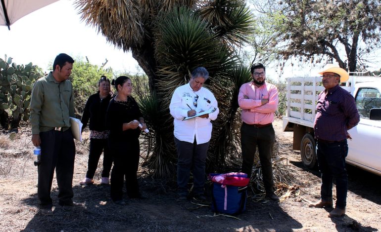  Tribunal inspecciona tierras en La Pila que pretenden quitarle a ejidataria