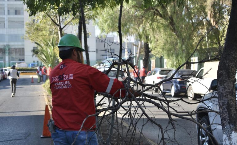  Despiden a trabajadores del Ayuntamiento de SLP por robo de material y gasolina