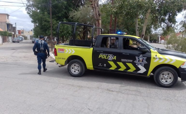  Reforzarán seguridad en Jacarandas tras agresión sexual a joven