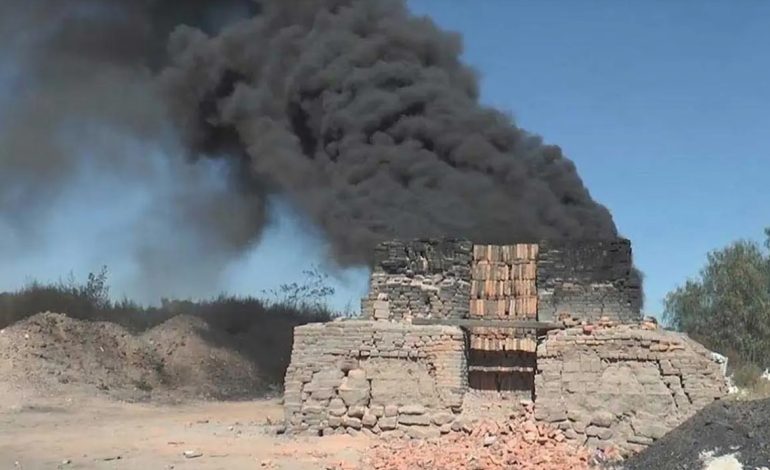  Arsénico y zinc, elementos contaminantes detectados en ladrilleras de SLP