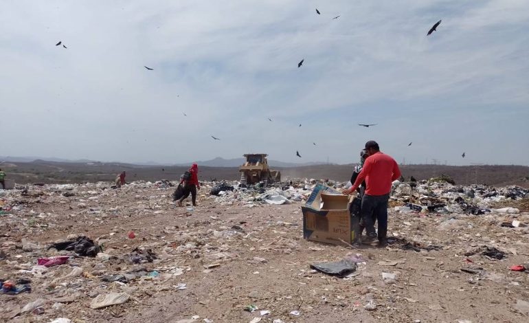  Desde el Conahcyt llaman a reconocen la importancia de los pepenadores