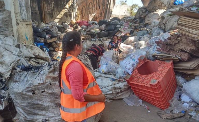  Estudio devela violencias y explotación laboral de mujeres recolectoras de residuos