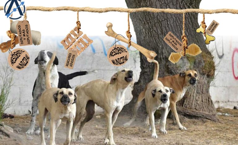  Suelten a los perros
