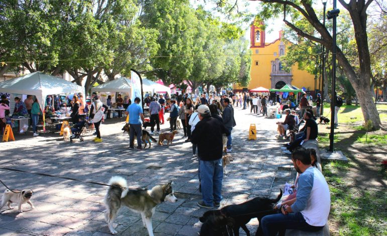  Pese al intento de boicot, realizan 2º Festival de la Sierra de San Miguelito