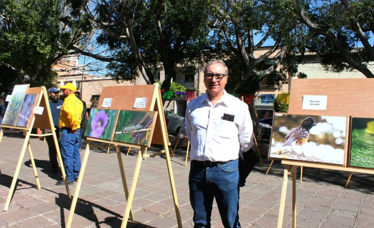  Con exposición fotográfica, dan a conocer biodiversidad de la Sierra de San Miguelito