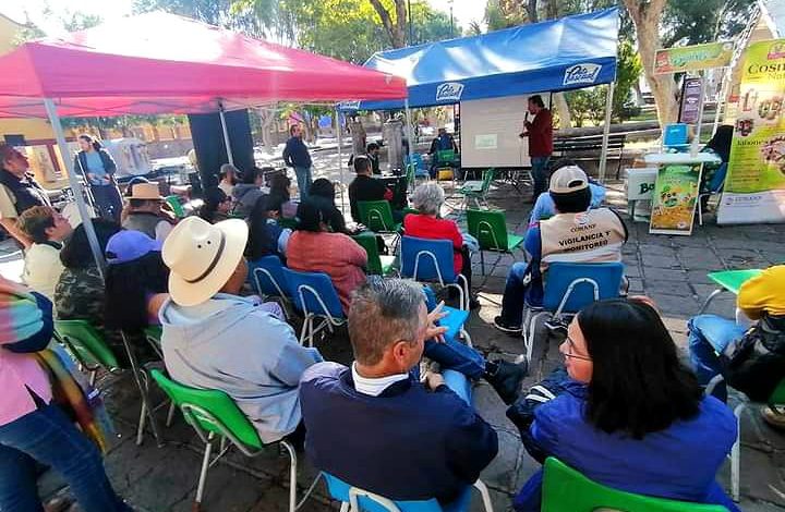  Economía social solidaria: una propuesta que prioriza el trabajo humano y la conservación del medio ambiente