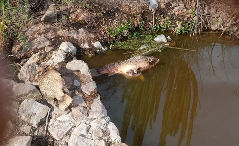  SLP destaca a nivel nacional por contaminación: UASLP